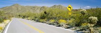 Directional signboard at the roadside, McCain Loop Road, Tucson Mountain Park, Tucson, Arizona, USA by Panoramic Images - 27" x 9"