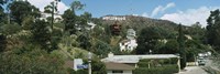 Low angle view of a hill, Hollywood Hills, City of Los Angeles, California, USA Fine Art Print