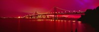 Suspension bridge lit up at night, Bay Bridge, San Francisco, California, USA Fine Art Print