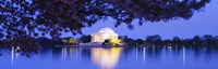 Jefferson Memorial at Night Fine Art Print