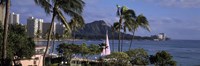 Palm trees on Waikiki Beach, Oahu, Honolulu, Hawaii Fine Art Print