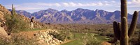 Golf Course Tucson AZ Fine Art Print