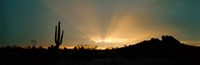 Desert Sun Beams, Near Phoenix, Arizona, USA Fine Art Print