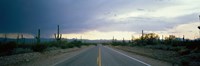 Desert Road near Tucson Arizona USA by Panoramic Images - 27" x 9"