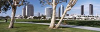 Embarcadero Marina Park, San Diego, California, USA by Panoramic Images - 27" x 9"
