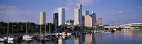 Tampa, Florida, USA Fine Art Print