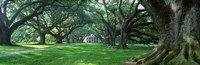 USA, Louisiana, New Orleans, Oak Alley Plantation, plantation home through alley of oak trees Fine Art Print