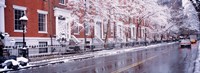 Winter, Snow In Washington Square, NYC, New York City, New York State, USA Fine Art Print