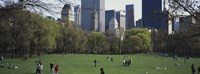 Group of people in a park, Central Park, Manhattan, New York City, New York State, USA Fine Art Print