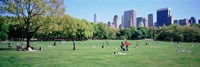 Group Of People In A Park, Sheep Meadow, Central Park, NYC, New York City, New York State, USA Fine Art Print