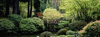 Panoramic view of a garden, Japanese Garden, Washington Park, Portland, Oregon Fine Art Print