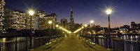 Buildings lit up at night, Transamerica Pyramid, San Francisco, California, USA Fine Art Print