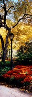 Lamppost in a park, Central Park, Manhattan, New York City, New York, USA Fine Art Print