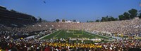 High angle view of a football stadium full of spectators, The Rose Bowl, Pasadena, City of Los Angeles, California, USA Fine Art Print