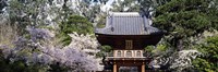 Low angle view of entrance of a park, Japanese Tea Garden, Golden Gate Park, San Francisco, California, USA Fine Art Print