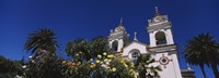 Plants in front of a cathedral, Portuguese Cathedral, San Jose, Silicon Valley, Santa Clara County, California, USA Fine Art Print