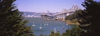 Cranes at a bridge construction site, Bay Bridge, San Francisco, California Fine Art Print