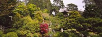 Cottage in a park, Japanese Tea Garden, Golden Gate Park, San Francisco, California, USA Fine Art Print