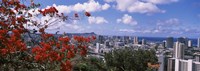 Honolulu Skyline from a Distance (red flowers) Fine Art Print