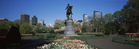 Statue in a garden, George Washington Statue, Boston Public Garden, Boston, Suffolk County, Massachusetts, USA Fine Art Print