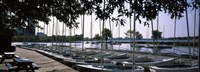 Boats moored at a dock, Charles River, Boston, Suffolk County, Massachusetts, USA Fine Art Print