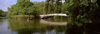 Bridge across a lake, Central Park, Manhattan, New York City, New York State, USA by Panoramic Images - 27" x 9"