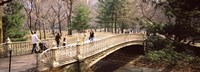 Group of people walking on an arch bridge, Central Park, Manhattan, New York City, New York State, USA Fine Art Print