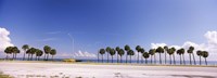 Palm trees at the roadside, Interstate 275, Tampa Bay, Gulf of Mexico, Florida, USA by Panoramic Images - 27" x 9"