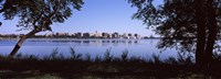 Lake Monona and Madison, Wisconsin Through the Trees Fine Art Print