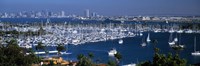 Aerial view of boats moored at a harbor, San Diego, California, USA Fine Art Print