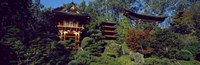 Pagodas in a park, Japanese Tea Garden, Golden Gate Park, Asian Art Museum, San Francisco, California, USA Fine Art Print