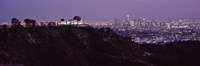 Griffith Park Observatory and City, Los Angeles, California Fine Art Print