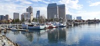 Fishing boats docked at a marina, San Diego, California, USA Fine Art Print
