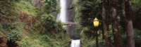 Multnomah Falls, Hood River, Columbia River Gorge, Oregon Fine Art Print