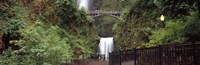 Waterfall in a forest, Multnomah Falls, Hood River, Columbia River Gorge, Oregon Fine Art Print