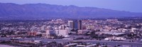 Tucson, Arizona with Purple Sky 2010 Fine Art Print
