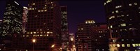 Buildings lit up at night, City of Los Angeles, California Fine Art Print