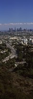 Hollywood, Los Angeles, California (vertical) Fine Art Print