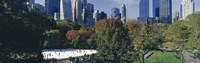 Ice rink in a park, Wollman Rink, Central Park, Manhattan, New York City, New York State, USA 2010 by Panoramic Images, 2010 - 27" x 9"