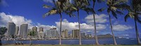 Skyscrapers at the waterfront, Honolulu, Hawaii Fine Art Print