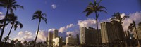 Low angle view of skyscrapers, Honolulu, Hawaii, USA 2010 Fine Art Print