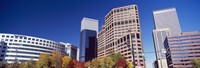 Low angle view of skyscrapers, Downtown Denver, Denver, Colorado, USA 2011 Fine Art Print