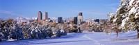 Denver city in winter, Colorado Fine Art Print