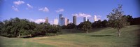 Downtown skylines viewed from a park, Houston, Texas, USA Fine Art Print