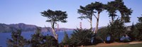 Suspension bridge across a bay, Golden Gate Bridge, San Francisco Bay, San Francisco, California, USA Fine Art Print