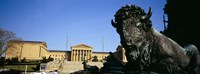 Sculpture of a buffalo with a museum in the background, Philadelphia Museum Of Art, Philadelphia, Pennsylvania, USA Fine Art Print