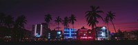 Hotels Illuminated At Night, South Beach Miami, Florida, USA Fine Art Print