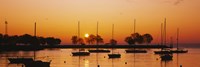 Silhouette of sailboats in a lake, Lake Michigan, Chicago, Illinois, USA Fine Art Print