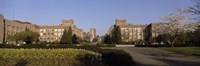 Trees in the lawn of a university, University of Washington, Seattle, King County, Washington State, USA by Panoramic Images - 36" x 12"