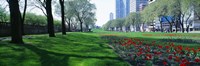 Public Gardens, Loop, Cityscape, Grant Park, Chicago, Illinois, USA Fine Art Print